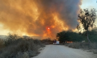 اندلاع حريق كبير في مساحات أشواك بمنطقة 